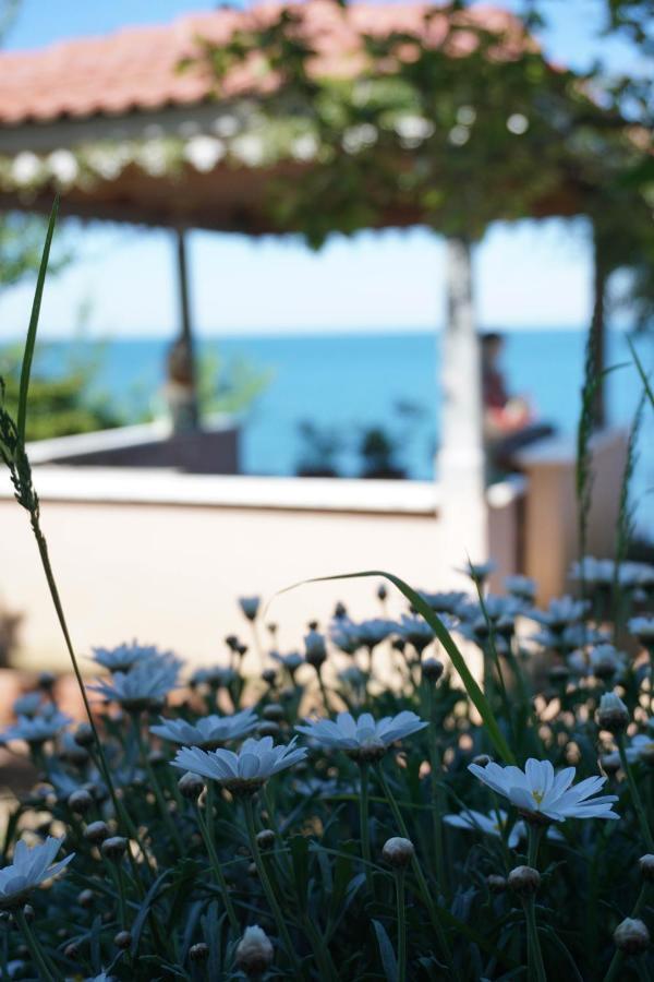 Laila Villa *