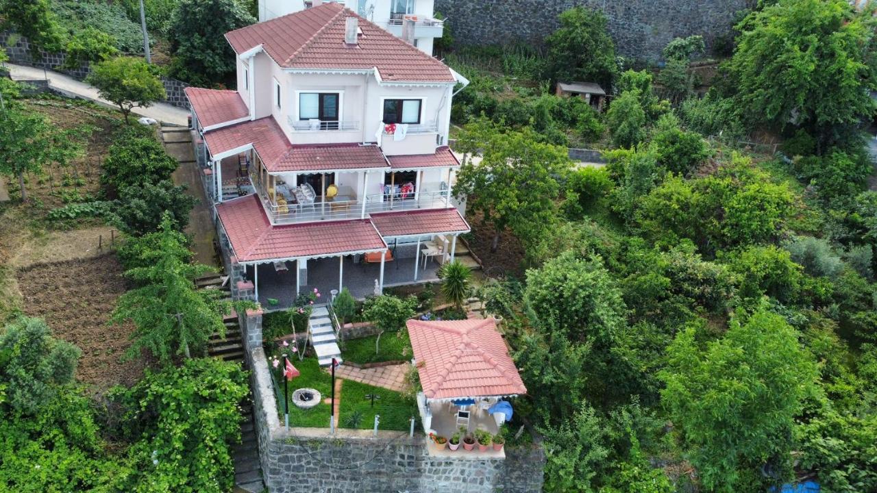 Laila Villa *